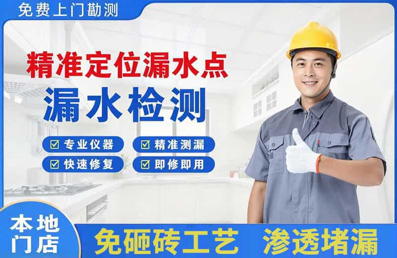 西夏精准测漏点